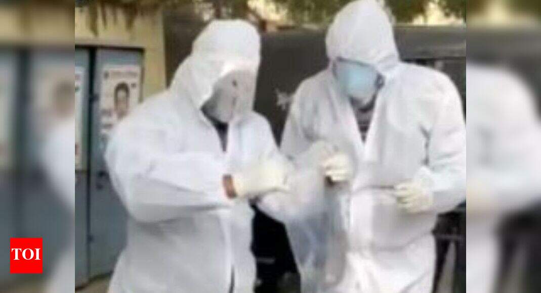 Bird Flu in Kanpur: 10 red jungle fowls die at Kanpur zoo | Kanpur News ...