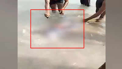 Shocking: Locals kill Dolphin in UP’s Pratapgarh