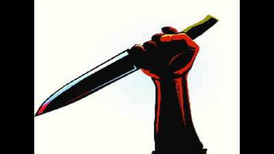 Thane: Retired cop stabs cousin, kills him, injures another