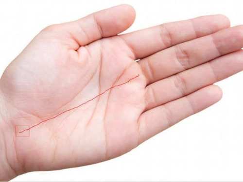 Know Yourself Test What Your Palm Lines Say About Your Nature, Behavior,  Money, Career, Mindset?
