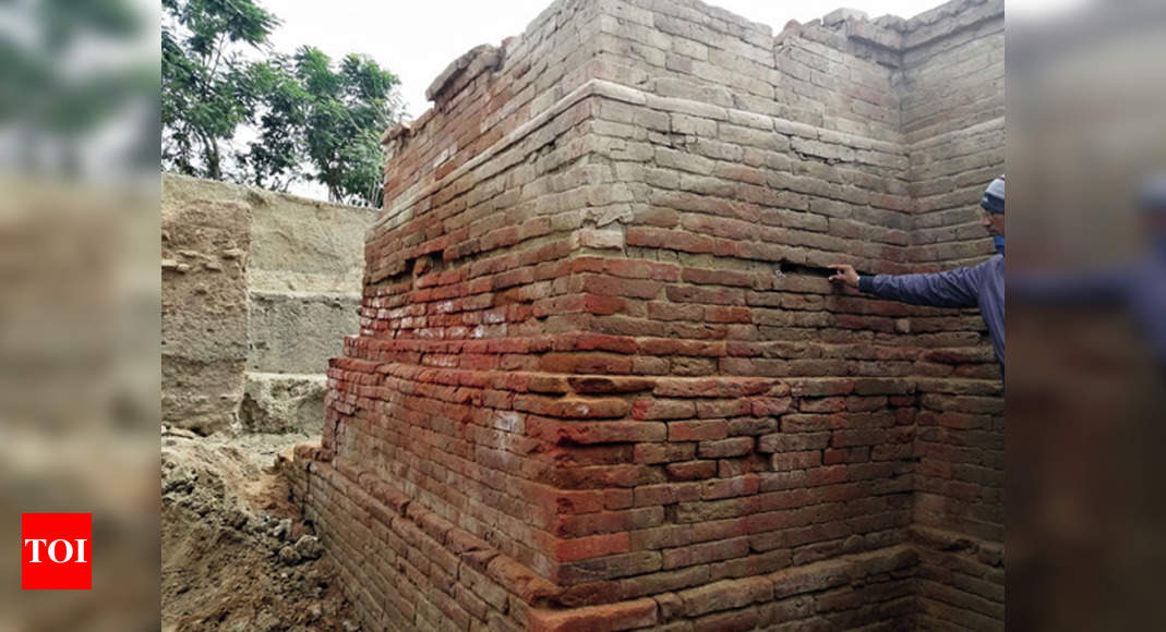 Earthquake-proof buildings in Gujarat 1,500 years ago?  |  Ahmedabad News