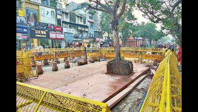 Delhi's Chandni Chowk revamp: Peepal tree relocated