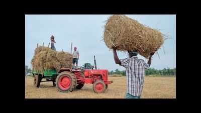 Karnataka: Farmers concerned as govt sells tur below MSP