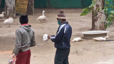 Bird flu scare: 10 ducks found dead in Delhi's Sanjay Lake