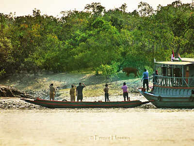 Sunderbans ends Covid year with two dozen man-animal conflicts | Kolkata News - Times of India Sunderbans ends Covid year with two dozen man-animal conflicts | Kolkata News - Times of India