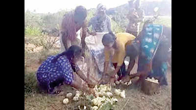 Karnataka: Chicks dumped in villages; police say farmer-firm stand off to blame