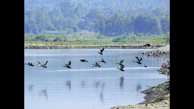 Bird flu: Drones to keep a check on migratory birds in Uttarakhand
