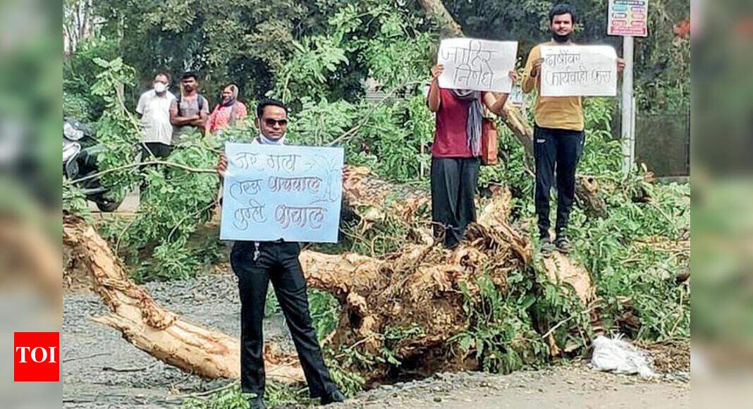 High drama over felling of full-grown trees near Bapu Kuti | Nagpur ...