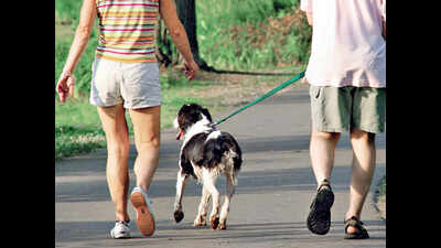 Scoop the poop: Not cleaning up after your pet is going to cost ...