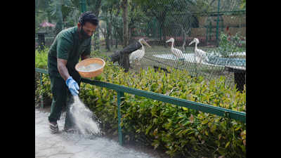 Bird flu: Hyderabad zoological park on guard