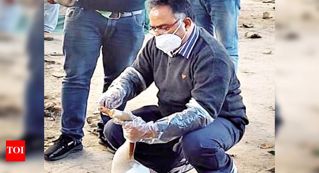 UP ramps up efforts to curb outbreak of bird flu | Meerut News - Times ...