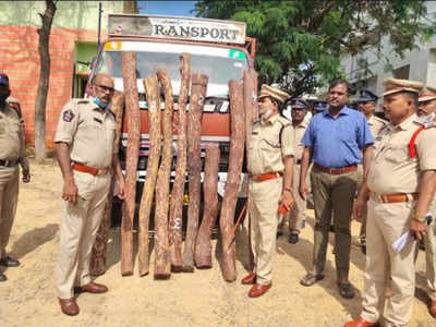 Andhra Pradesh: Kadapa police arrest two red sanders smugglers, seize Rs.10  lakh worth logs | Amaravati News - Times of India