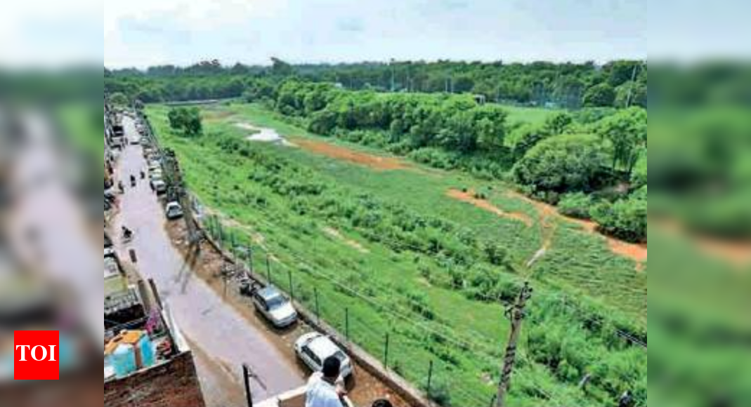 Sukhna lake is artificial or natural image