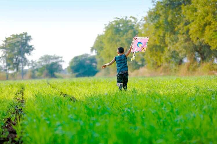 Makar Sankranti