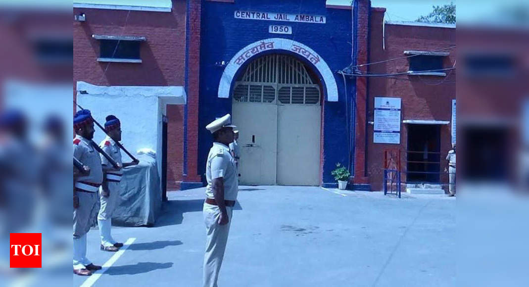 Haryana: Ambala jail officials find cellphone during check, assaulted ...