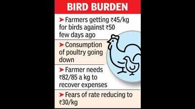 More deaths of birds hit poultry rates