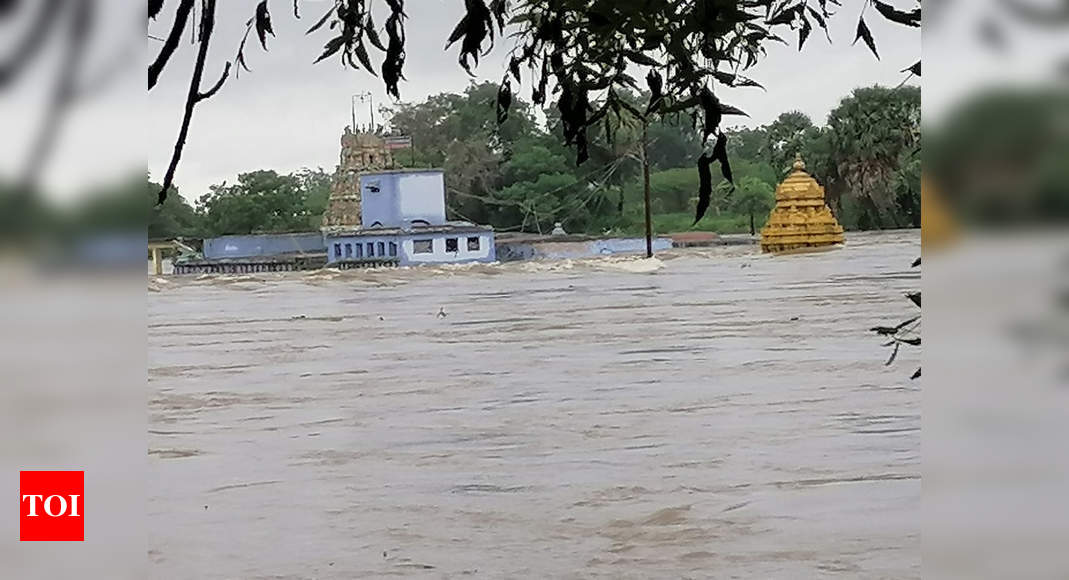 Tamil Nadu Floods: Thamirabarani river in spate after heavy rains; low ...