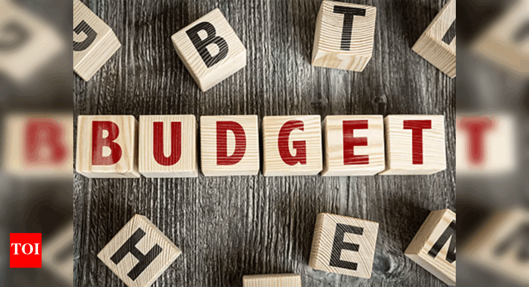 what-is-interim-budget-is-it-different-from-full-budget-the-times