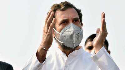 Rahul Gandhi to watch jallikattu; BJP alleges U-turn by Congress