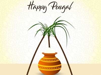 Pongal 2021: Images, Cards, Greetings and GIFs