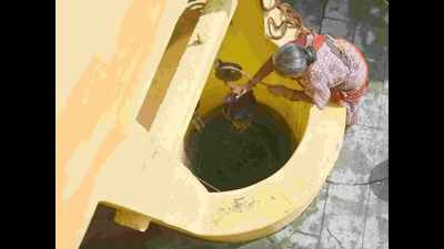 Madhya Pradesh man digs well at home in 15 days to ease wife's water woes