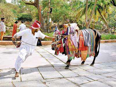 Sankranthi Sambaralu: A slice of tradition in the heart of Tech City