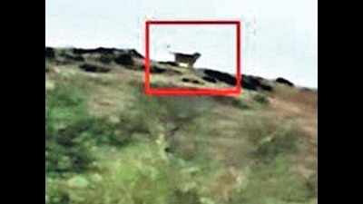 Three lions camping near Rajkot relocated to Gir