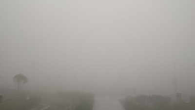 Dense fog engulfs Delhi-NCR, visibility drops