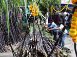 Pongal being celebrated with gusto