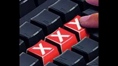 Haryana: Three booked for playing porn video during online class ...