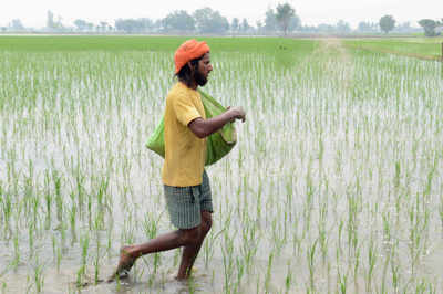Farm laws have potential to represent significant step forward for agriculture reforms in India: IMF