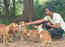 Unlikely Heroes: I made it a point to feed 300 dogs a day, says Sai Vignesh