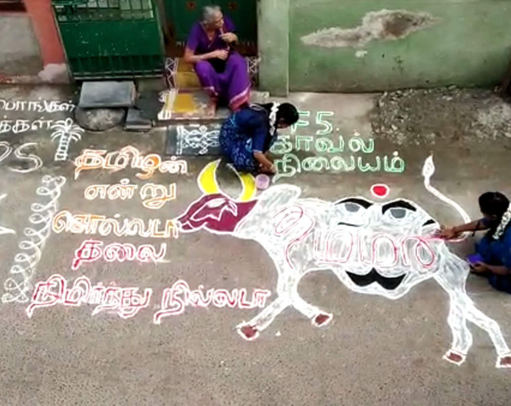 
Chennai: People celebrate Pongal with fervour, decorate streets with rangoli
