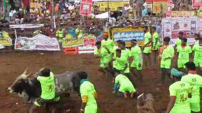 Covid norms flouted during Palamedu jallikattu in Tamil Nadu’s Madurai