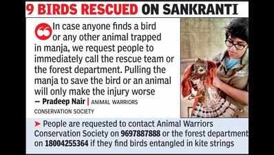 Birds bear brunt, 22 injured