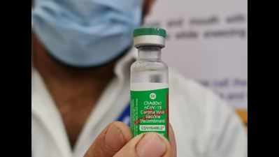 Vaccination drive launched in Goa