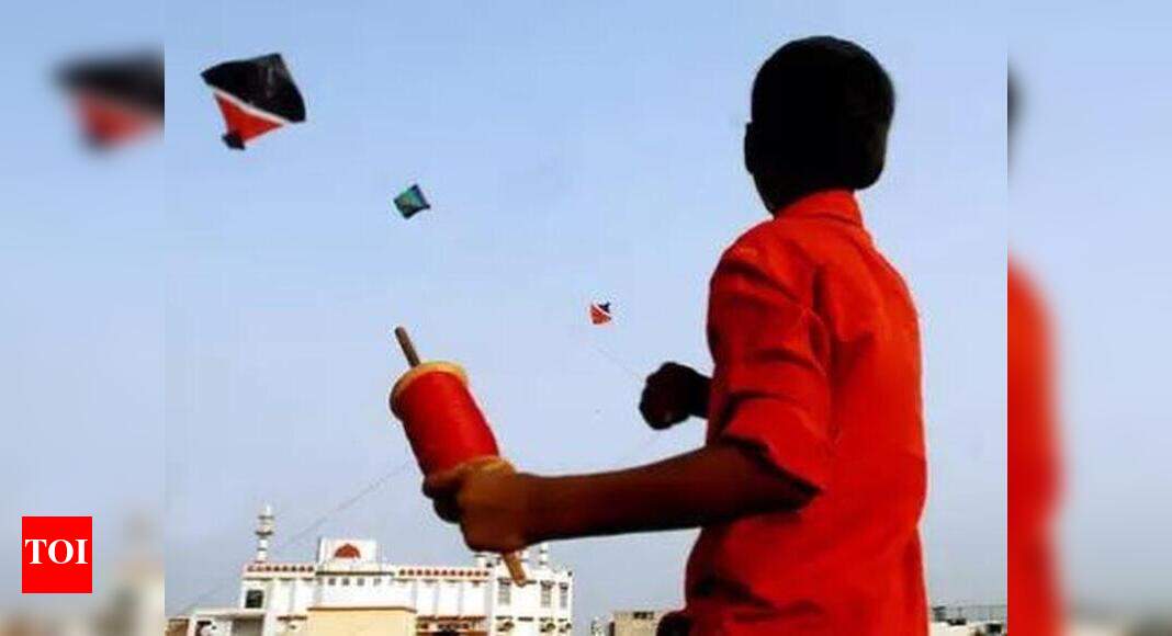Maharashtra Kite flying on Makar Sankranti leaves over 800 birds