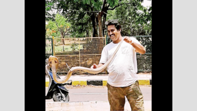 With over 4,000 numbers, cobra is most rescued snake in Hyderabad
