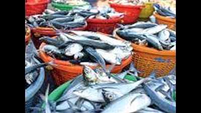 Prices soar in Chennai as fewer fishermen set out to sea