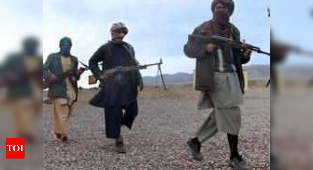 afghanistan-army-kills-8-taliban-terrorists-in-takhar-province-times-of-india