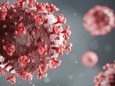 This is how long your body’s immune system remembers COVID infection
