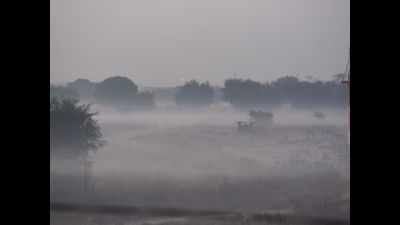 Thick fog blankets parts of Rajasthan