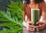 Papaya leaf juice: Health benefits, how to make and the right way to consume