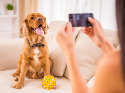Tips for getting a picture-ready photo with your pet while travelling