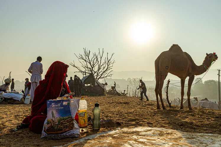 Things to carry on a camel safari