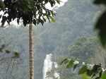 Top 15 Beautiful Waterfall of India