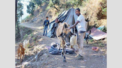 Ex-IAF airman now leading a hermit’s life in Mussoorie hills