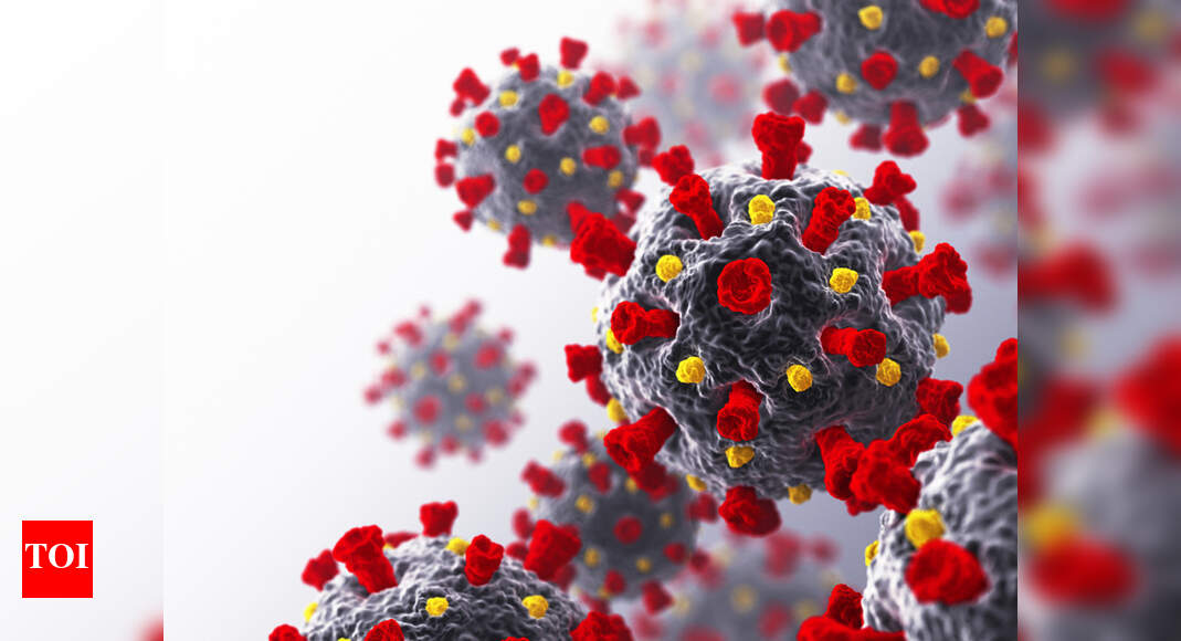 Swine Fever in China: New China swine fever strains point to unlicensed vaccines | World News - Vimarsana News