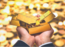 Stalled: The Gold Rush