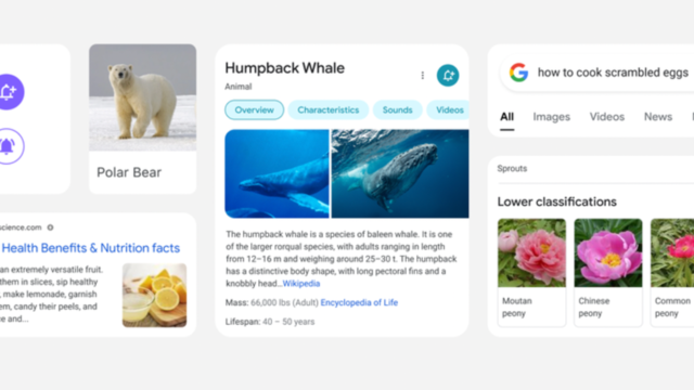 Google Search gets a 'makeover' on iPhones, Android phones Google Search gets a 'makeover' on iPhones, Android phones